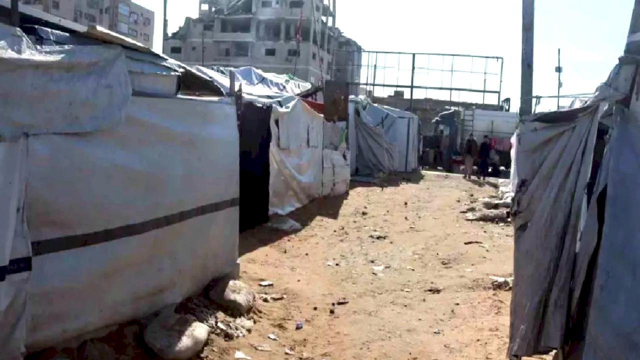 Filistinlilerin Gazze'deki Barış Umutları