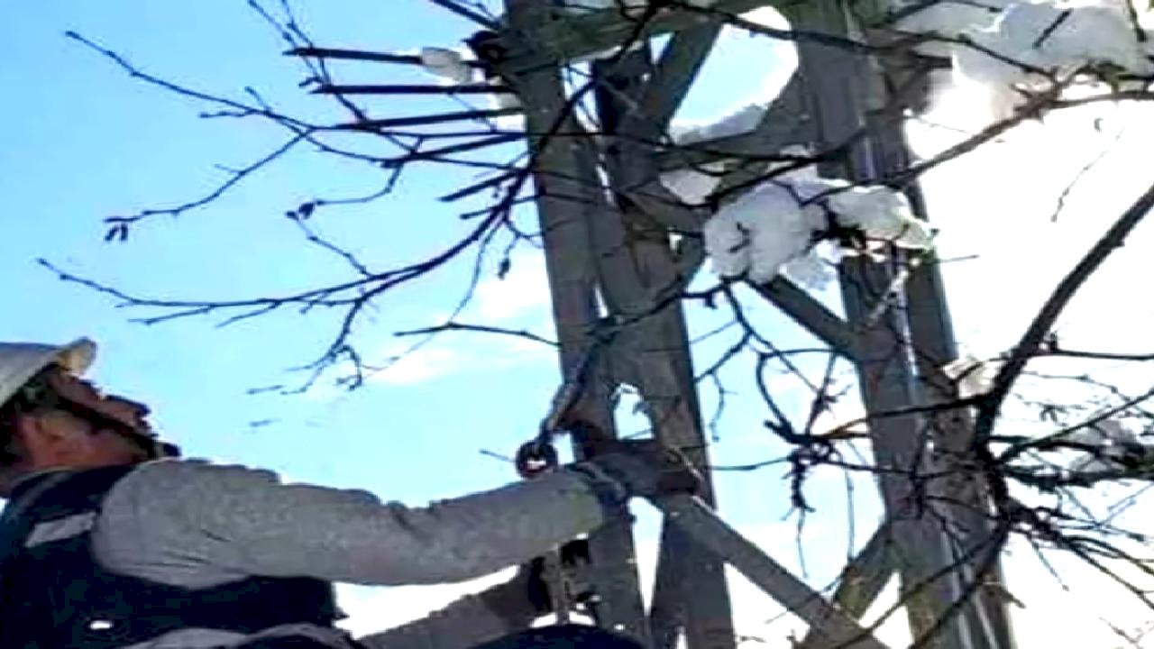 Giresun'da Kar Yağışıyla Elektrik Ekipleri Teyakkuzda