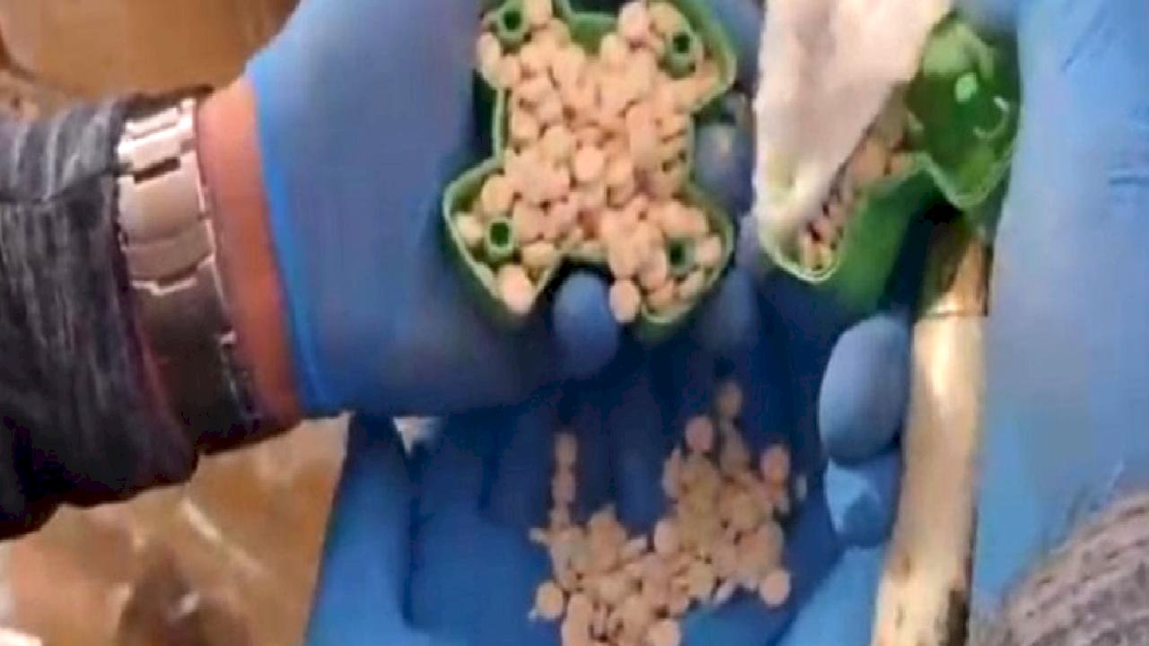 Hatay'da 107 kilogram ağırlığında uyuşturucu hap ele geçirildi