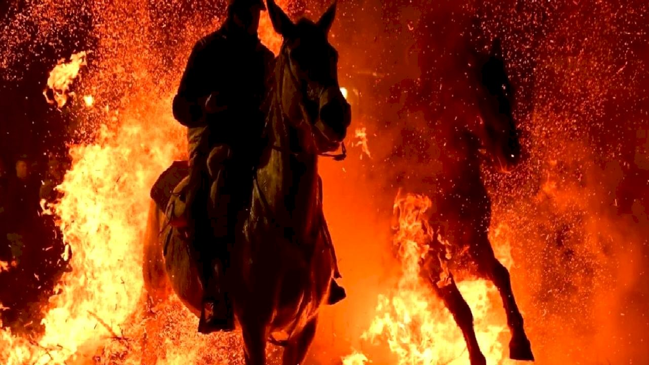 İspanya'da kutsanan atlar ateşin üzerinden atlatıldı
