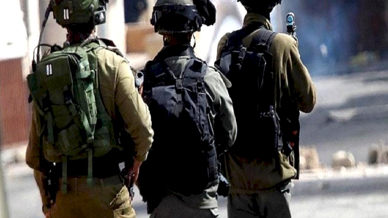 İsrail medyası: İsrail askerleri Suriye topraklarından 250 keçi çaldı