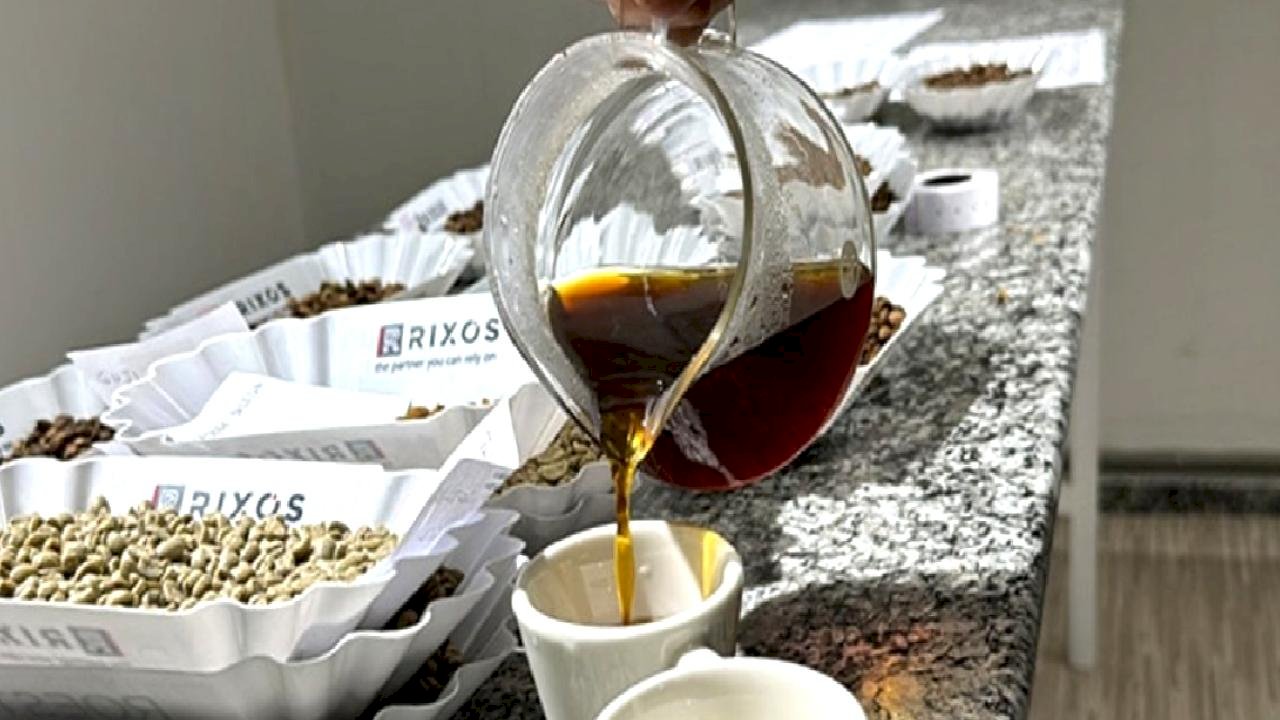 Kahve markalarından kör tadım testi