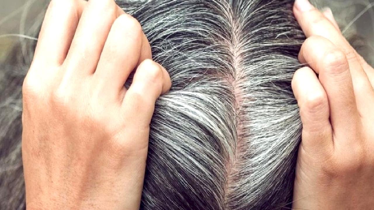 Kuaförlerin gizli tutmak istediği yöntem: Beyaz saçlar boyasız nasıl kapanır?