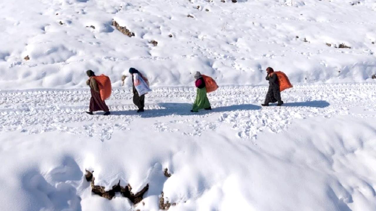 Mardin'de kar ve soğuğa karşı yaşam mücadelesi
