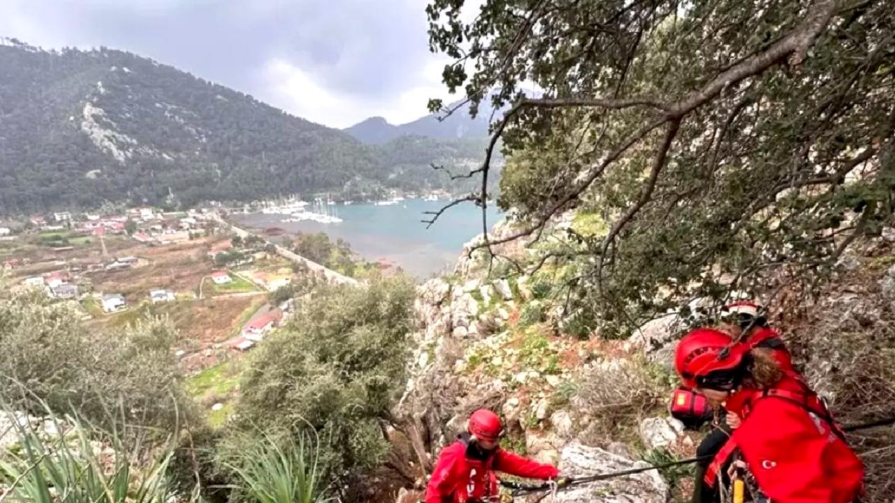 Marmaris'te Mahsur Hayvanlar Kurtarıldı