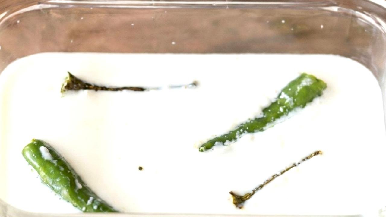 "Mayam yok" derdi bitti: İçine 2 tane atın, kalıp gibi yoğurt yapın...