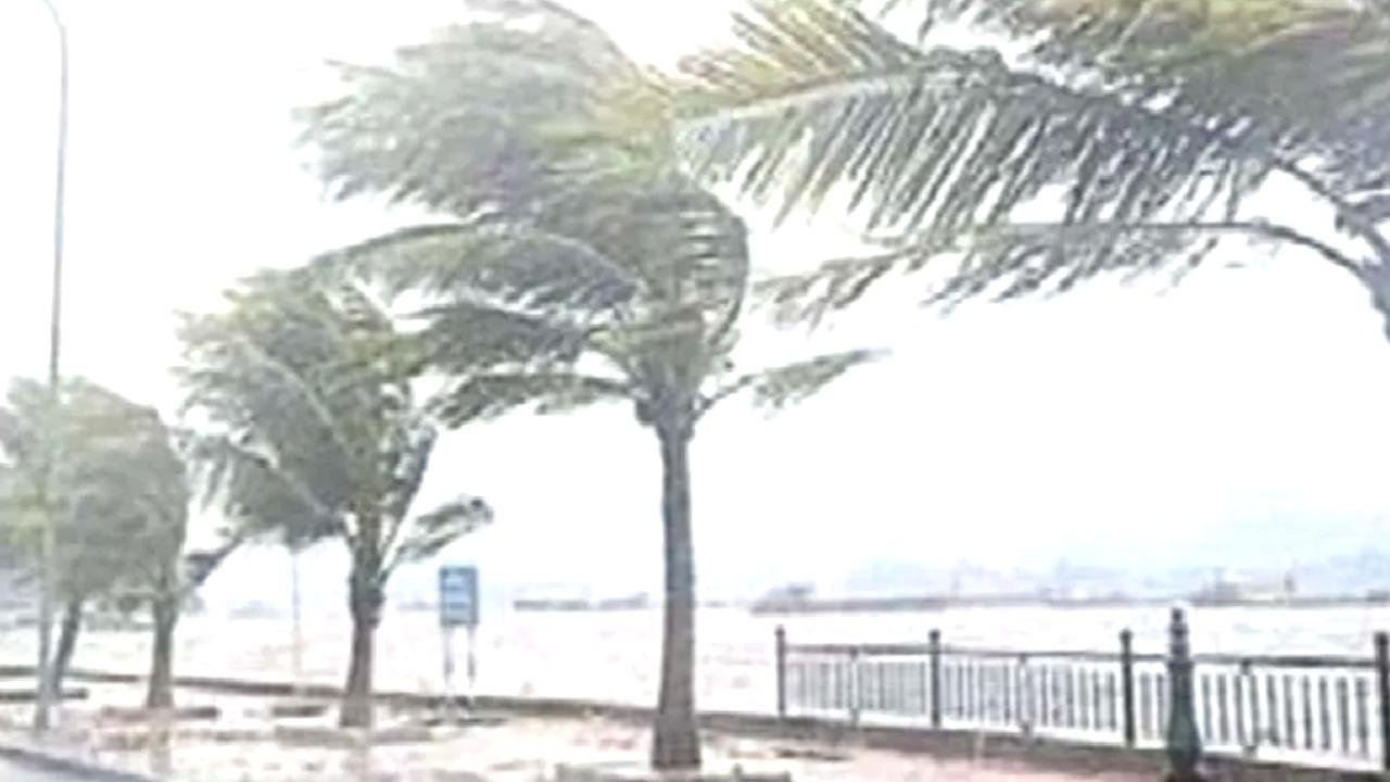 Meteoroloji uyardı! Fırtına ve çığ tehlikesine dikkat!