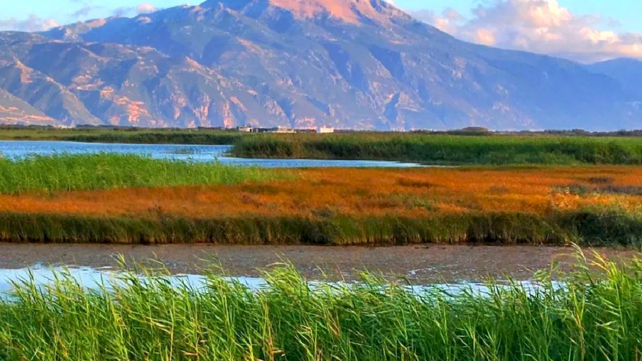 Milleyha Doğa Gözlem Merkezi Üç Gün Sürecek "Doğa Buluşması" ile Kapılarını Açıyor