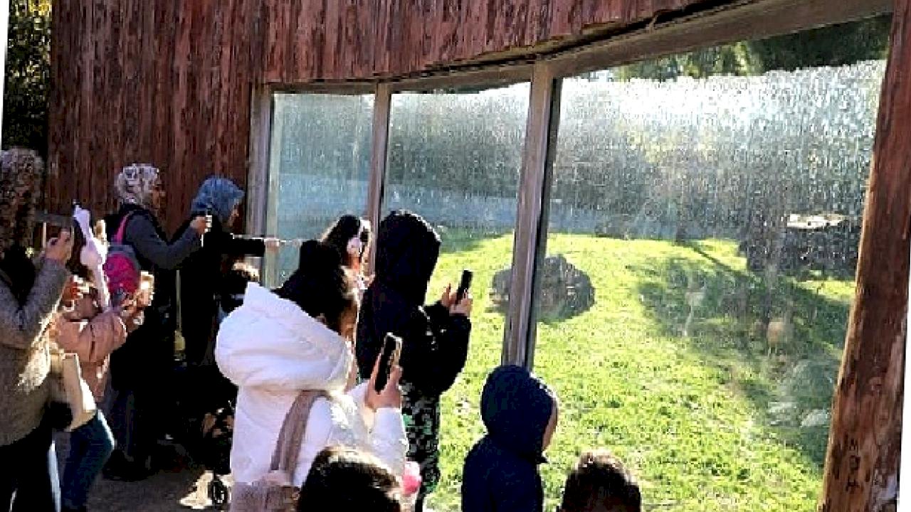 Sömestr Menderesli Çocuklara Güzel