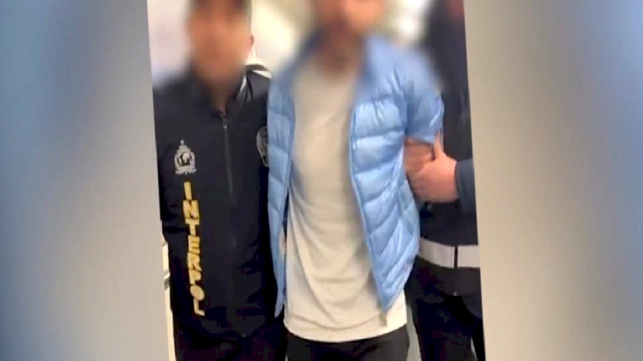 Suç örgütü Serdar Sertçelik Türkiye'ye getirildi