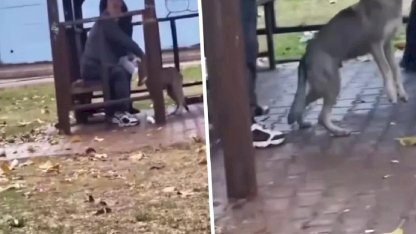 Adana'da kaydedilen görüntü ''Yok artık'' dedirtti