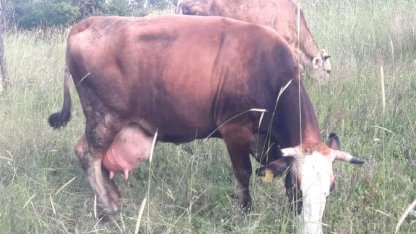 Bilecik Pazaryeri'nde çok sayıda mahalle ve köy karantinada