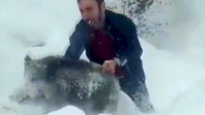 Domuz Yavrusunu Kurtaran Yılmaz'a Cezası İptal Edildi