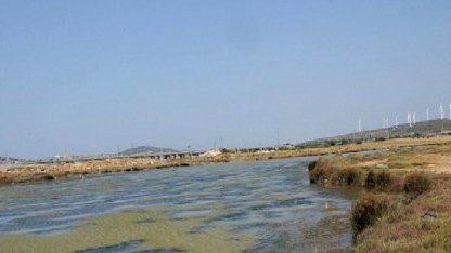 Egeli Akademisyen AB Destekli "HALO-FORCE" Projesinde yer aldı