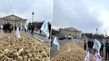 Fransa'da çiftçilerden sert protesto: Meclisin önüne 30 ton patates döktüler