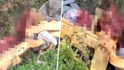 Hayvan Kemikleriyle Yakalanan Şüpheliler Gözaltında