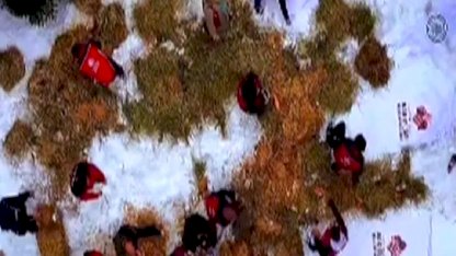 Ilgaz Dağı’na yüzlerce kilo yem bırakıldı