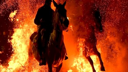 İspanya'da kutsanan atlar ateşin üzerinden atlatıldı