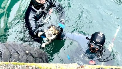 İzmir'de iskele altında sıkışan kediyi itfaiye kurtardı