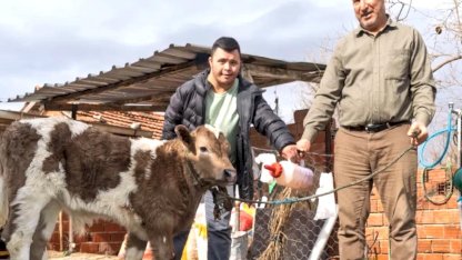 İzmir'de Çiftçiye Buzağı Kiti ve Dezenfektan Desteği