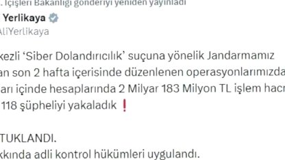 Siber Dolandırıcılık Operasyonu: 118 Gözaltı