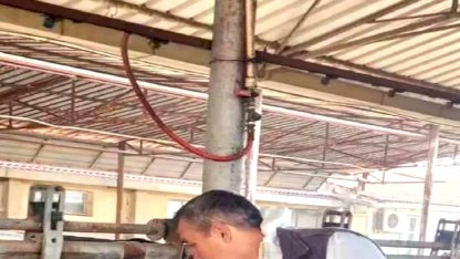 Söke'de Hayvan Sağlığı İçin Tarama Testleri