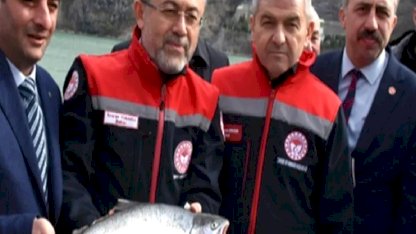 Su ürünlerinde 2,3 milyar dolarlık ihracat