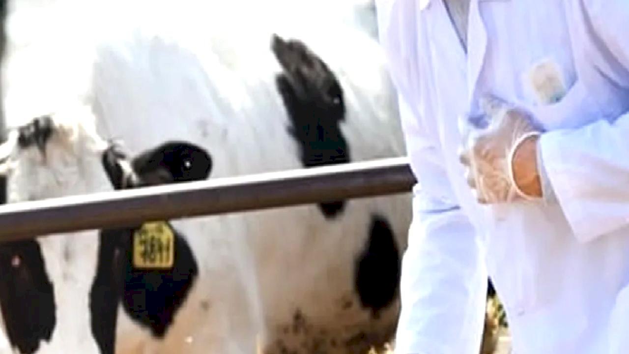 Tarımda maliyet yükü artıyor! Girdi fiyatlarında veteriner harcamaları zirveyi bırakmıyor!