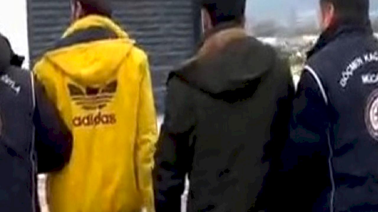 Tokat'ta tırda saklanan 2 kaçak göçmen yakalandı