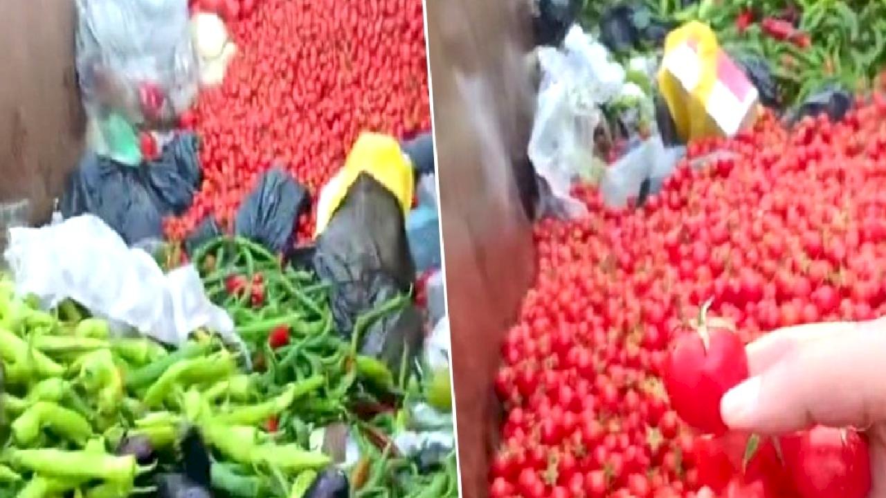 Antalya'da çöpe dökülen sebzeleri gören vatandaş tepki gösterdi