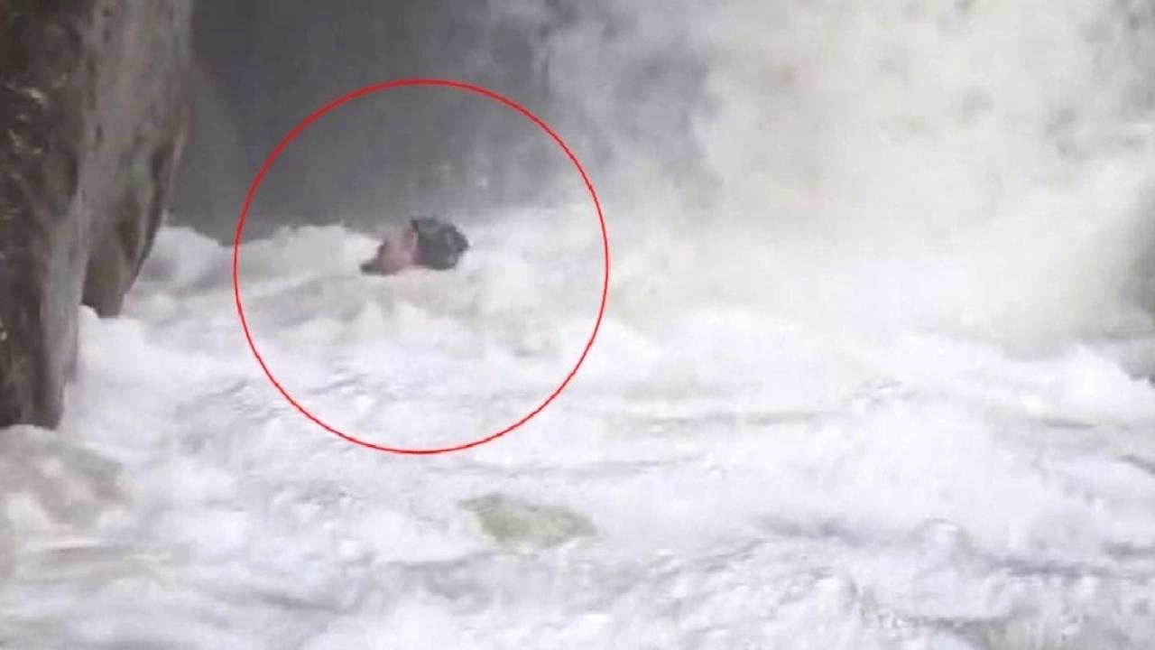 Bursa'da dağcıların su seviyesi yükselen deredeki zor anları