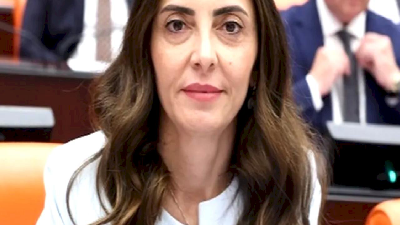 CHP’li Altaca Kayışoğlu'ndan 'alt komisyon' çağrısı