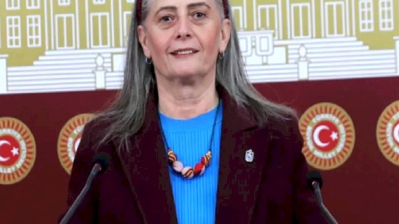 CHP'li Suiçmez: Trabzon vagon değil, lokomotif olmalı