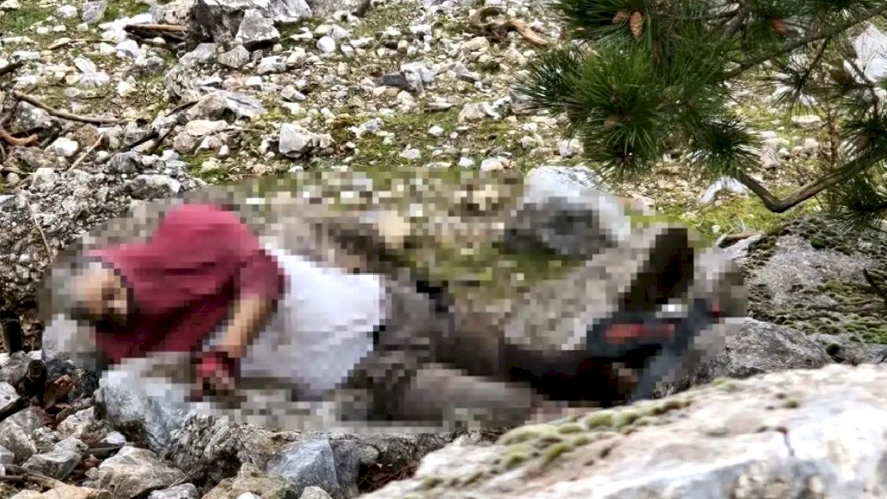 Define Ararken Uçurumda Ölü Bulundu
