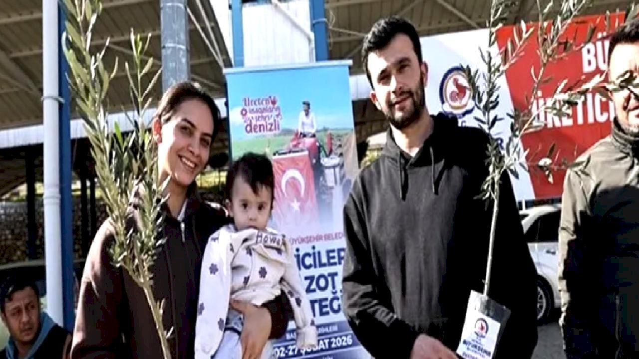 Denizli Büyükşehir’den üreticiye zeytin fidanı desteği