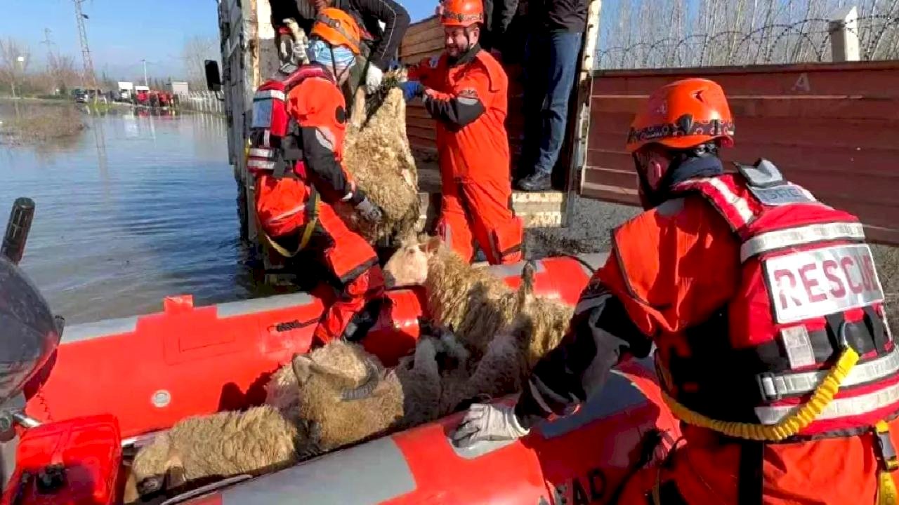 Edirne'de taşan su seviyesi yer yer 2.5 metreye yükseldi, tahliyeler sürüyor