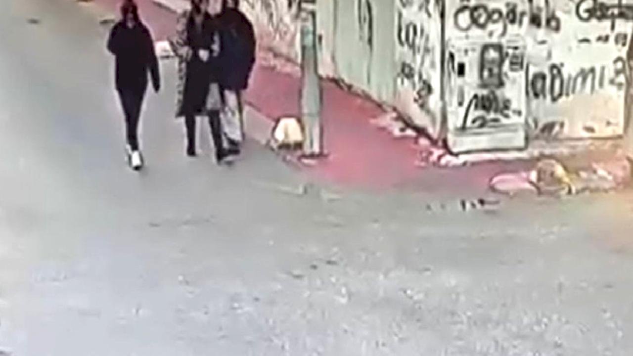 Eskişehir'de bebek kamerası dahil ne bulduysa çalan kadının 70 suç kaydı çıktı