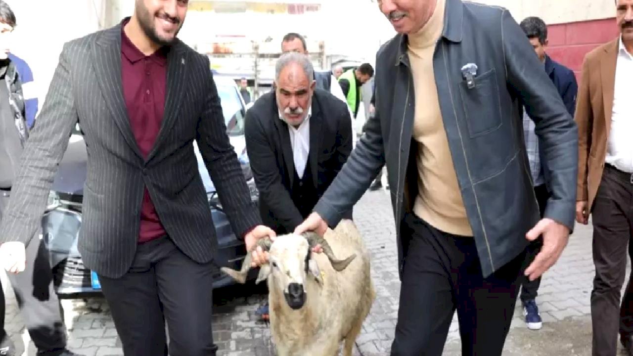 Eyyübiye Belediyesi'nden Türkiye'de bir ilk: 400 yetim aileye Kurbanlık Koç Desteği