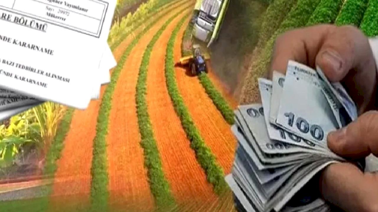 Hazine destekli kredilerde yeni dönem... Çiftçi ve esnafa kredi şartları yenilendi