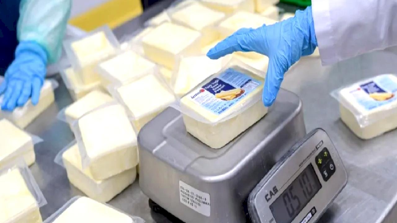 İzmir Büyükşehir’den peynir hamlesi... 500 gramlık kaşar 165 TL