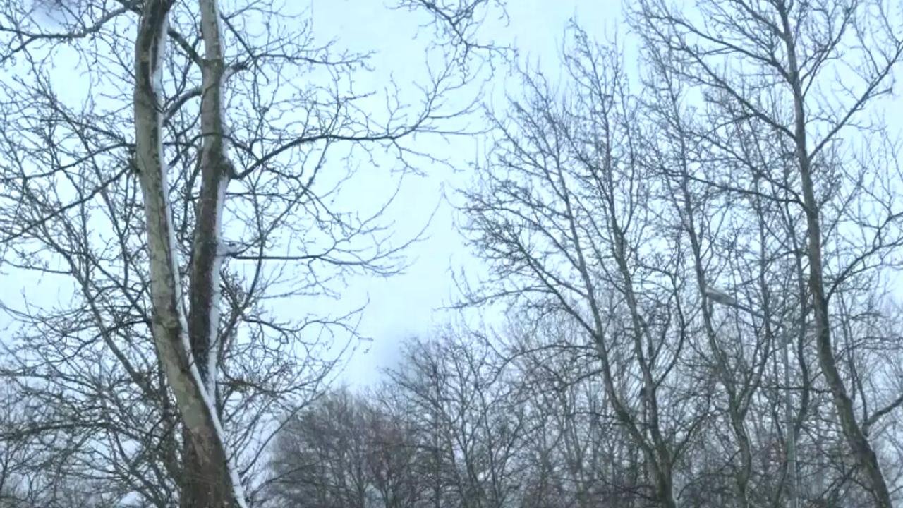 İzmir'de Kar Yağışı Başladı