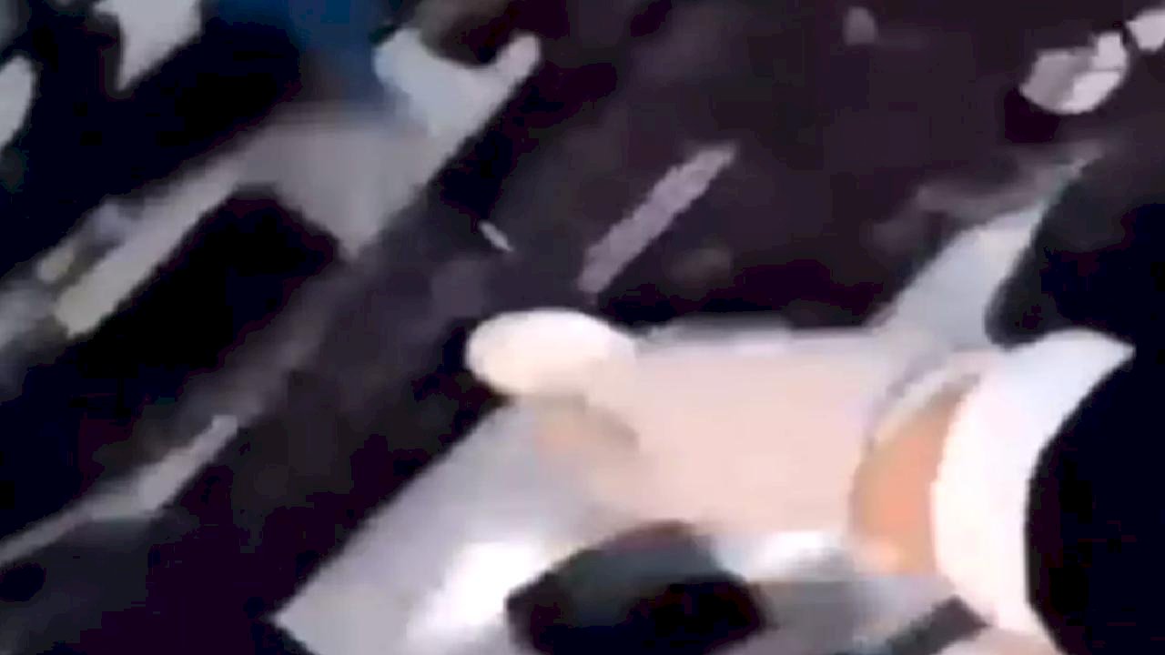 İzmir'de Silah ve Uyuşturucu Operasyonu