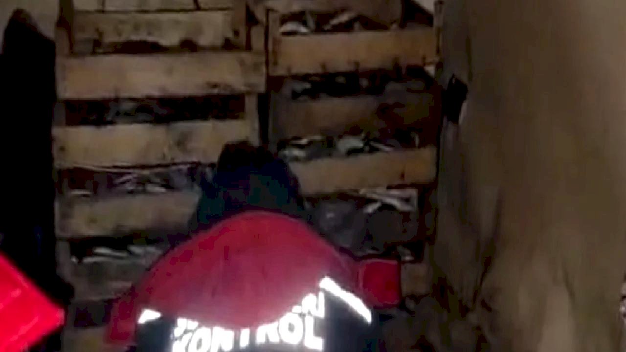 İzmir'de yasadışı avcılığa karşı sıkı önlem