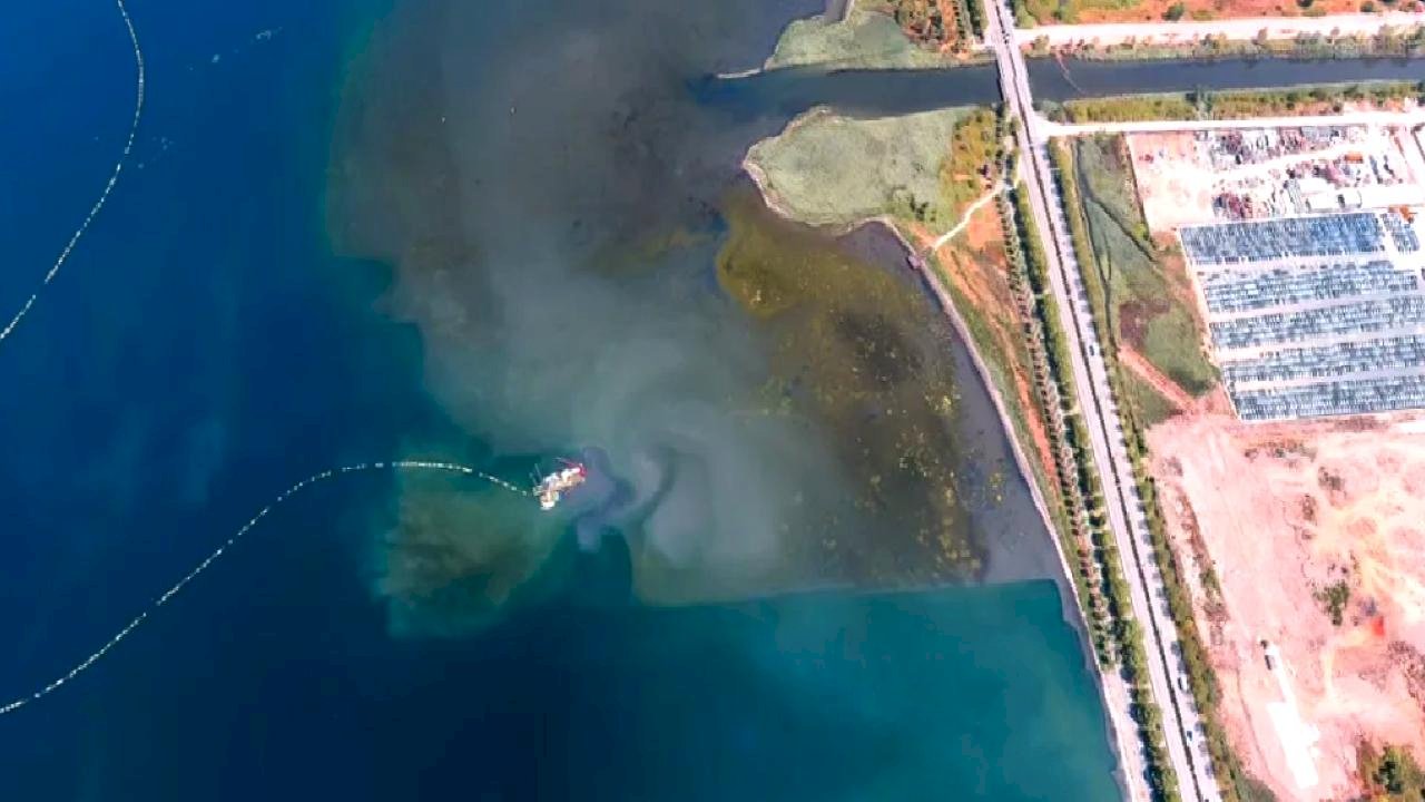 İzmit Körfezi'nde deniz temizleniyor, ekosistem güçleniyor