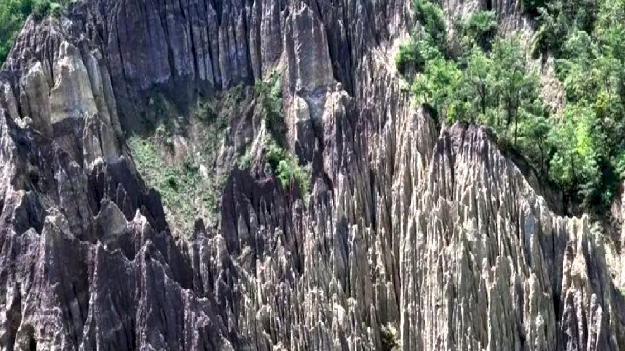 Korunan alan sayısı 692'ye yükseldi