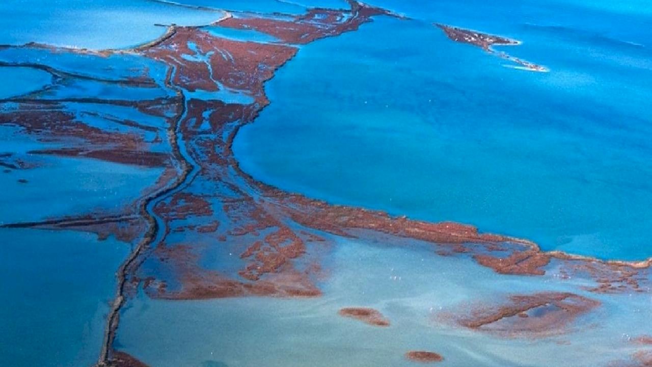 Kuraklık Gediz Deltası’nda kirlilik baskısını derinleştiriyor
