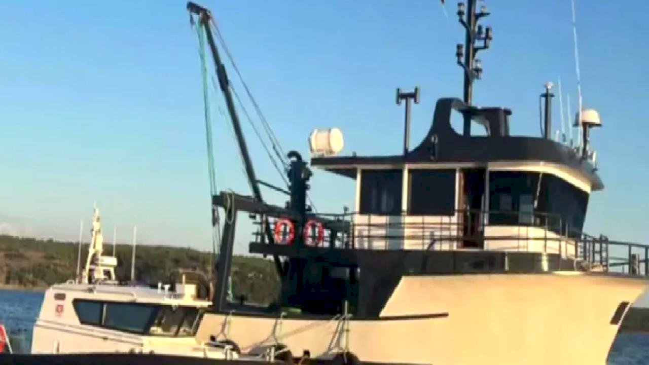 Sahil Güvenlik'ten yasa dışı avcılığa geçit yok! Sezon başından bu yana 44 ton su ürününe el konuldu