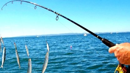 Balık Bu Saatte Vuruyor! İşte Oltanın En Bereketli Zamanı...