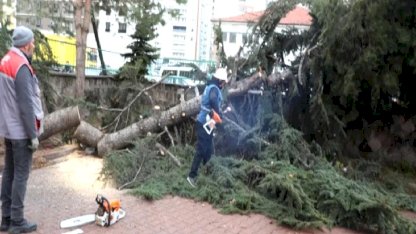 Kayseri Melikgazi'de rüzgar kabusu
