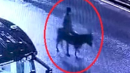 Kayseri'de forkliftle kuyumcu soyan şahıs eşekle kaçtı